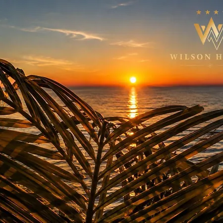 Wilson Lezhë